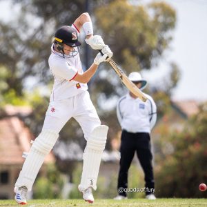 Cricket