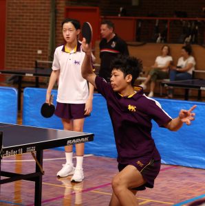 Table Tennis